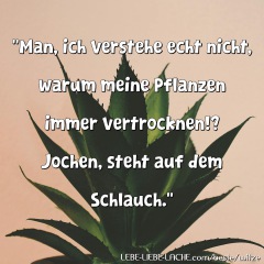 "Man, ich verstehe echt nicht, warum meine Pflanzen immer vertrocknen!? Jochen, steht auf dem Schlauch."