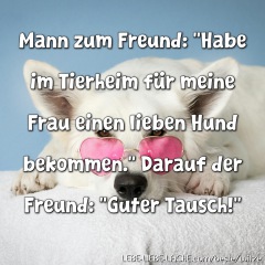 Mann zum Freund: Habe im Tierheim für meine Frau einen lieben Hund bekommen. Darauf der Freund: Guter Tausch!