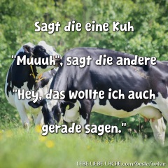 Sagt die eine Kuh "Muuuh", sagt die andere "Hey, das wollte ich auch gerade sagen."