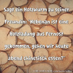 Sagt ein Holzwurm zu seiner Freundin: Nebenan ist eine Holzladung aus Fernost gekommen, gehen wir heute abend chinesisch essen?