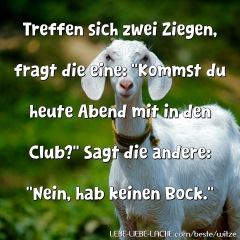 Treffen sich zwei Ziegen, fragt die eine: "Kommst du heute Abend mit in den Club?" Sagt die andere: "Nein, hab keinen Bock."