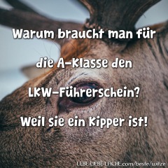 Warum braucht man für die A-Klasse den LKW-Führerschein? Weil sie ein Kipper ist!