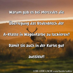 Warum gab es bei Mercedes die Überlegung das Bodenblech der A-Klasse in Wagenfarbe zu lackieren? Damit sie auch in der Kurve gut aussieht!