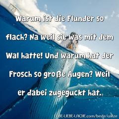 Warum ist die Flunder so flach? Na weil sie was mit dem Wal hatte! Und warum hat der Frosch so große Augen? Weil er dabei zugeguckt hat.