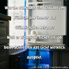 Warum schraubt ein Schwabe im Kühlschrank immer das Glühbirnchen heraus? Weil er sich nicht sicher ist, ob beim Schließen das Licht wirklich ausgeht.