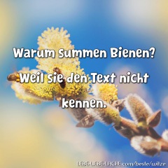 Warum summen Bienen? Weil sie den Text nicht kennen.