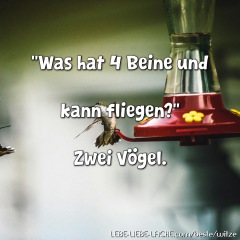 Was hat 4 Beine und kann fliegen? Zwei Vögel.