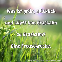 Was ist grün, glücklich und hüpft von Grashalm zu Grashalm? Eine Freuschrecke.