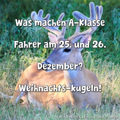 Was machen A-Klasse Fahrer am 25. und 26. Dezember? Weihnachts-kugeln!