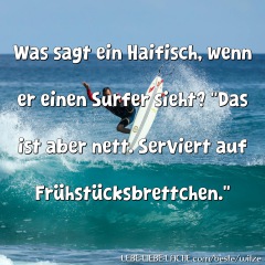 Was sagt ein Haifisch, wenn er einen Surfer sieht? "Das ist aber nett. Serviert auf Frühstücksbrettchen."