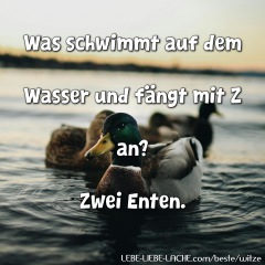 Was schwimmt auf dem Wasser und fängt mit Z an? Zwei Enten.