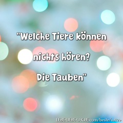 Welche Tiere können nichts hören? Die Tauben