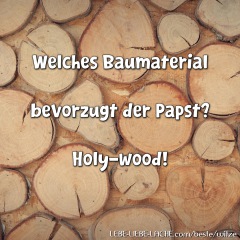 Welches Baumaterial bevorzugt der Papst? Holy-wood!