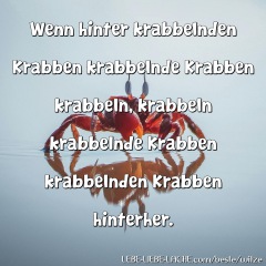 Wenn hinter krabbelnden Krabben krabbelnde Krabben krabbeln, krabbeln krabbelnde Krabben krabbelnden Krabben hinterher.