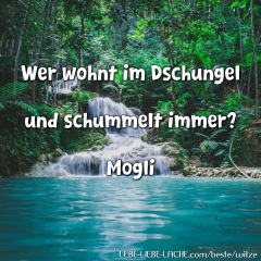 Wer wohnt im Dschungel und schummelt immer? Mogli