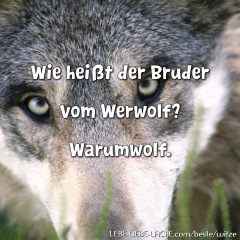 Wie heißt der Bruder vom Werwolf? Warumwolf.