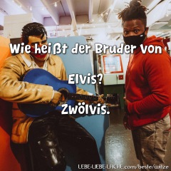 Wie heißt der Bruder von Elvis? Zwölvis.