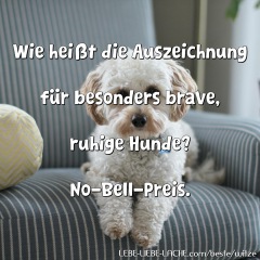 Wie heißt die Auszeichnung für besonders brave, ruhige Hunde? No-Bell-Preis.