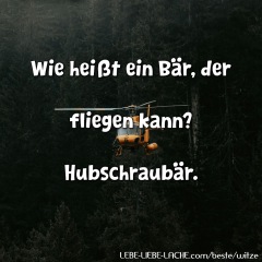 Wie heißt ein Bär, der fliegen kann? Hubschraubär.