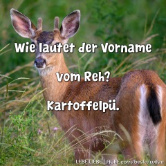 Wie lautet der Vorname vom Reh? Kartoffelpü.