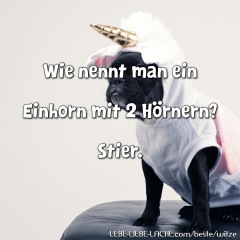 Wie nennt man ein Einhorn mit 2 Hörnern? Stier.