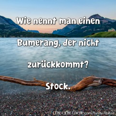 Wie nennt man einen Bumerang, der nicht zurückkommt? Stock.