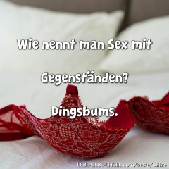 Wie nennt man Sex mit Gegenständen? Dingsbums.