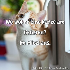 Wo wohnt eine Katze am liebsten? Im Miezhaus.