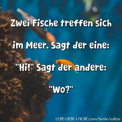 Zwei Fische treffen sich im Meer. Sagt der eine: Hi! Sagt der andere: Wo?