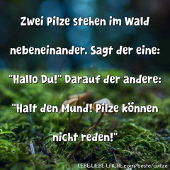 Zwei Pilze stehen im Wald nebeneinander. Sagt der eine: Hallo Du! Darauf der andere: Halt den Mund! Pilze können nicht reden!