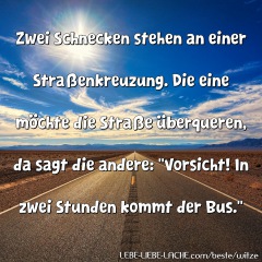 Zwei Schnecken stehen an einer Straßenkreuzung. Die eine möchte die Straße überqueren, da sagt die andere: Vorsicht! In zwei Stunden kommt der Bus.