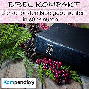 Alessandro Dallmann: Die schönsten Bibelgeschichten in 60 Minuten (Bibel kompakt)