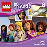 N.N.: Die Pirateninsel: Lego Friends 8