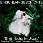 Raphael Kempermann: Einschlaf-Geschichte - Eines Nachts im Urwald: Einschlafen mit positiven Gedanken und Gefühlen